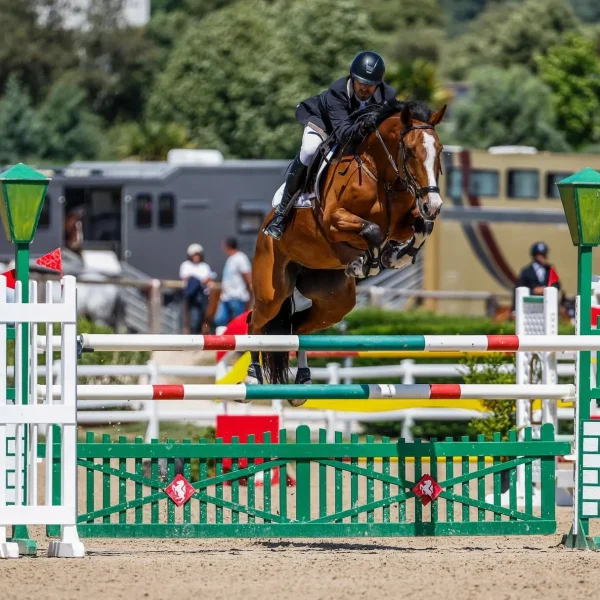 manuelcarrasco1993_1716802703_3377108306351970078_2960126229_resultado